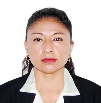 Ing. Milagros del pilar saldarriaga z.